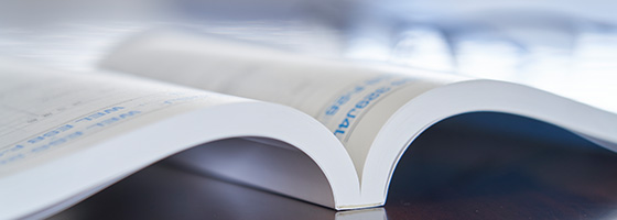 カタログ/参考資料ダウンロード